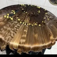 موهاتو از ساقه میخریم خرید باکوتاهی رایگان