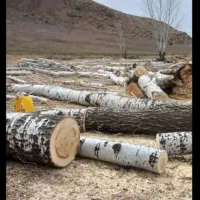 خرید‌انواع‌چوب‌‌و‌تیر‌سقفی