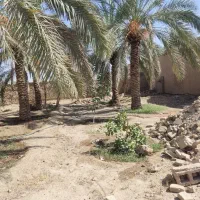 فروش باغ
