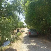 زمین باغی مناسب سرمایه گذاری و باغ میوه