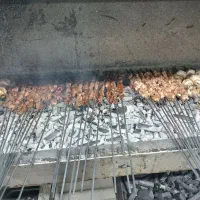 تخته کار هستم
