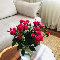 میز جلو مبلی چوبی