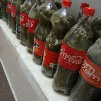 خیارشور ارگانیک