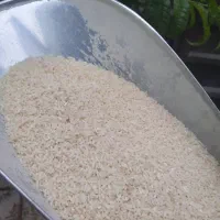 برنج لاشه هاشمی شمال