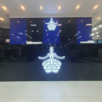 استخدام نیرو