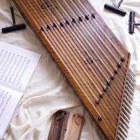 سنتور  سالاری(سل کوک)