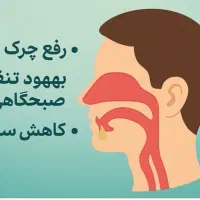 دمنوش های سرماخوردگی و آنفلوآنزای پاییزه