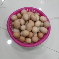 تخم مرغ محلی تازه