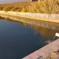 فروش یامعاوضه 10هزارمترزمین کشاورزی|فروش دفتر صنعتی، کشاورزی، تجاری|برخوار, |دیوار