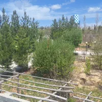 ۹۰۰ متر باغچه