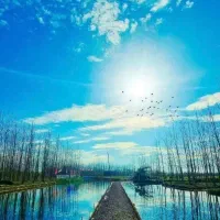 آخرین فرصت خرید با قیمت قبلی
