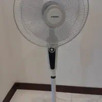 پکنه سانی نو نو