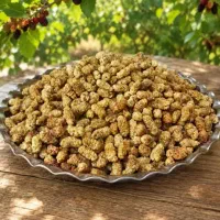 فروشنده خانم یا آقا