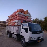 کاه سفید نرم داس درو خرمن کوب