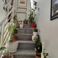 درب اتاق چوبی|مصالح و تجهیزات ساختمان|شیراز, چوگیاه‎|دیوار