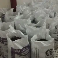 خاک برگ|گل و گیاه طبیعی|گنبد کاووس, |دیوار