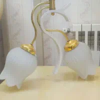 لوستر ۲ شاخه