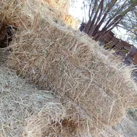 فروش علف|حیوانات مزرعه|سراب, |دیوار