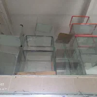 آکواریم فروشی|ماهی|اسلامشهر, مطهری|دیوار