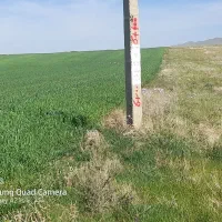 فروش زمین کشاورزی صنعتی|فروش دفتر صنعتی، کشاورزی، تجاری|صائین قلعه, |دیوار