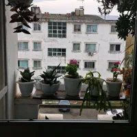 ۵۵متر آپارتمان نقلی یخ سازی