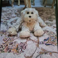 عروسک|اسباب‌‌بازی|تهران, دبستان|دیوار