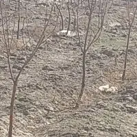 فروش مغازه ویرانی