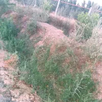 باغ 1000 متری با اب در شکرک|فروش خانه و ویلا|ابهر, |دیوار