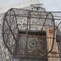 قفس سهره|لوازم جانبی حیوانات|شیراز, نصرآباد|دیوار