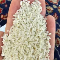 برنج نیمدانه و سر لاشه محلی|خوردنی و آشامیدنی|بروجرد, |دیوار