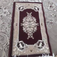 پادری زرشکی نو