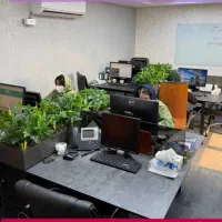 بازاریاب تلفنی در محل شرکت