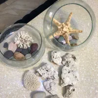 ظرف تراریوم گیاه و ماهی