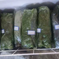 سبزی خورشتی ماهی کوکو توله