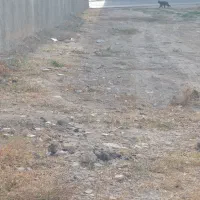 زمین کوچه ۱۶متری ، امام خمینی غربی ، دونبش