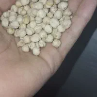 نخود|عمده‌فروشی|زنجان, |دیوار