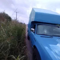 نیسان تناژ پائین کاربرات سالم وپلمپ