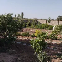 فروش خانه ویلایی ۶۰ متری ۱ خوابه|فروش خانه و ویلا|خرمدشت, |دیوار