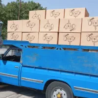 کارخانه تولید انواع سایز  لیوان های کاغذی