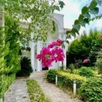 320متر-دوبلکس-نماسفید-شهرک-جنگلی-و-برند-فول-فرنیش