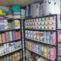 جشنواره پخش پت شاپ چیکا