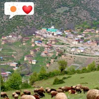 زمین ییلاقی  و جنگلی در سوادکوه|فروش زمین و ملک کلنگی|تهران, هروی|دیوار