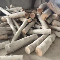 خرید انواع چوب سرپا یا بریده شده