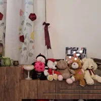 انواع عروسک تدی