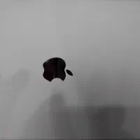 آیپد ایر 2|تبلت|تهران, گیشا|دیوار