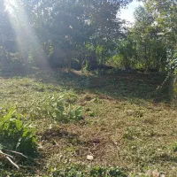 زمین دوبر مسکونی در شهر لولمان|فروش زمین و ملک کلنگی|لولمان, |دیوار