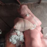 محلوج پنبه گرنه یا گورم