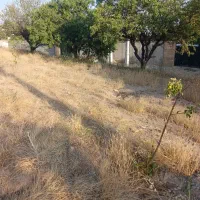 زمین ۵۸۰‌متری