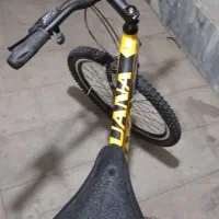 دوچرخه کلاسیک حرفه ای برای کسانی برای کوهنوردی|دوچرخه، اسکیت، اسکوتر|هشتگرد, فاز ۱ مهستان|دیوار