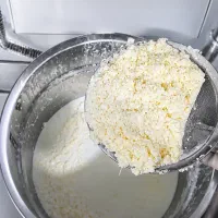کره محلی گاوی،روغن زرد،پرداخت درب منزل